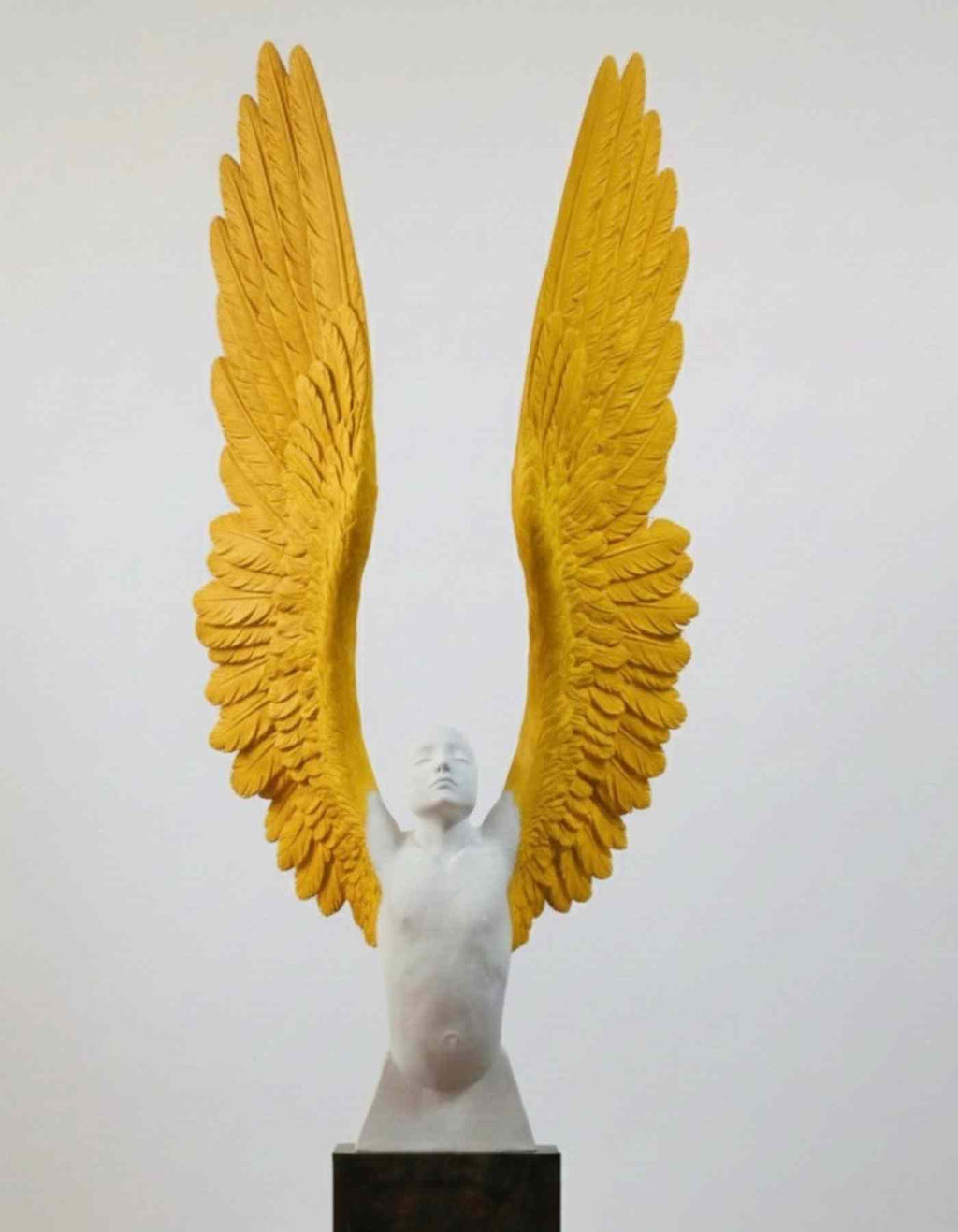 Icarus has fallen| Luxury and artistic decor